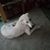 Tiffany Gilday's profile image