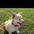 Jackie Ferlaino's profile image