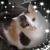 Amy Dailey's profile image
