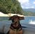 Benson Mattison's profile image