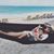Marilou Aquino Sasso's profile image