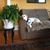 Susan Smith's profile image