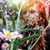 Katherine Flores's profile image