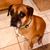 Candace Naomi Jones's profile image