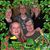 Elaine Hossler's profile image