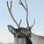 Rosemary Anderson's profile image