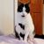 Sheila Weller's profile image