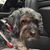 Cindy Jordan Seiler's profile image