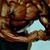 Soltan Olympia Chraibi's profile image