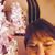 Tina Mitchell Watson's profile image