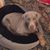 Lori R. Simpson's profile image