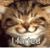 Trey Herriott's profile image