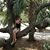 Erika M Peshek's profile image