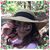 Nina Dalaco Eastin Myles's profile image