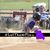 Tracy Daniel Shelton's profile image