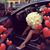 Nad Iya's profile image