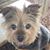 Rebecca N Roger Griffith's profile image