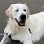 Tim Glauer's profile image