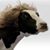 Maryam Dowd's profile image