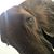 Heather Keller's profile image