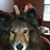 Susan Sawyer Hall's profile image