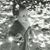 Karye Lynn Martin's profile image