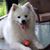 Rebecca Fergosi's profile image