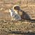 Mary Jo Swaner's profile image