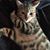 Claudia Patricia's profile image