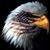 Don Smith's profile image