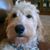 Cathy Shelton Marshall's profile image