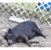 Randy Erickson's profile image