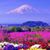 Melody Foster-Mcgraw's profile image