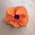 Nancy L. Fong's profile image
