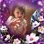 Stephanie Hayden-Shreve's profile image