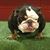 Carlos Medina's profile image