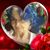 Judyth Bigelow's profile image
