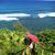 Kate Malheiro's profile image