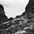 Betsy Hollenbaugh Martin's profile image