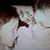 Michelle Green's profile image