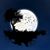 Ahmet Balta's profile image