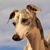 Leah Hartlep's profile image