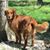 Arlen Zander's profile image