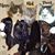 Friedl Marion's profile image