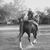 Linda Malone's profile image