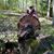 Connie Gresh's profile image