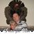 Todd Patrick's profile image