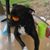 Jeff Klaes's profile image