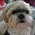 Dawn Marie's profile image