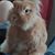 Patricia Havner Bohlander's profile image
